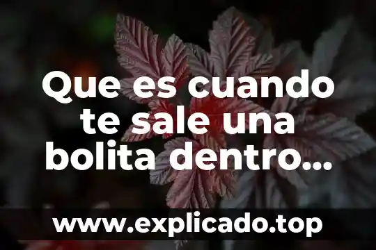 Parte del ojo que es sensible a la luz 8 Que es cuando te sale una bolita dentro del ojo