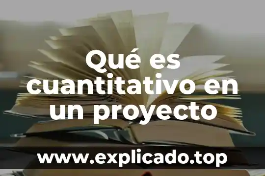 Que es un ari proyecto 3 Qué es cuantitativo en un proyecto