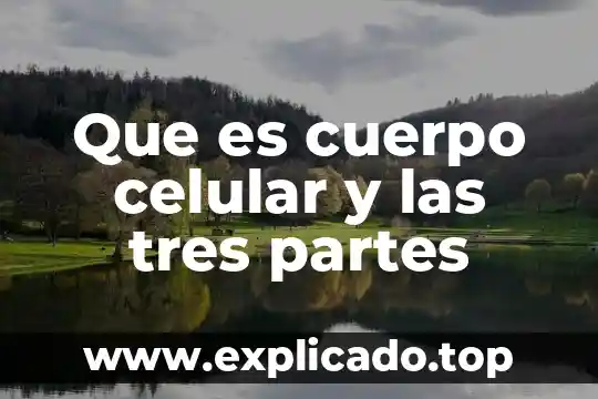 Que es cuerpo celular y las tres partes