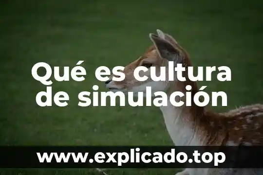 Que es la definición de sistema en simulacion 4 Qué es cultura de simulación