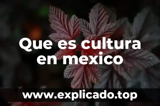 Que es un cholo en mexico 5 Que es cultura en mexico