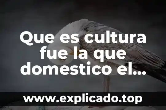 Qué es un coste de producción 5 Que es cultura fue la que domestico el maiz