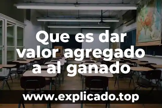 Que es el valor al impuesto agregado 3 Que es dar valor agregado a al ganado
