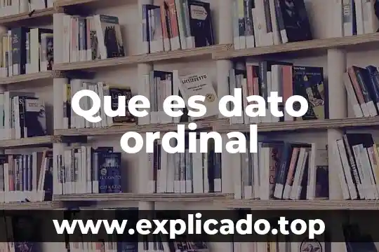 Qué es un dato vacío en investigación 4 Que es dato ordinal
