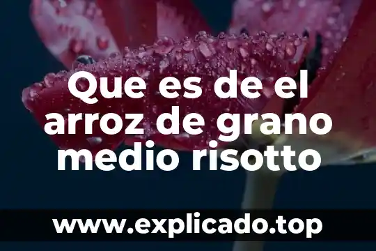 Afrecho de arroz que es 5 Que es de el arroz de grano medio risotto