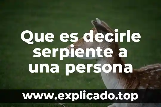 Como decirle que es una persona que me gusta 4 Que es decirle serpiente a una persona