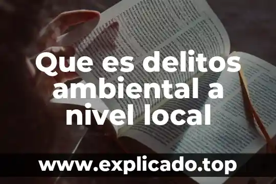 Servicio de transporte local que es 8 Que es delitos ambiental a nivel local