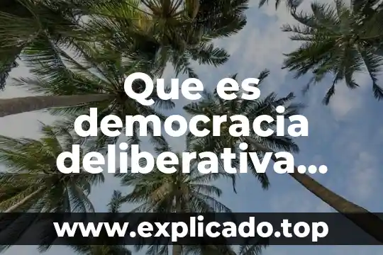 Que es la cavidad de retzius diccionario 3 Que es democracia deliberativa diccionario