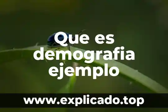 Que es el dadaismoy un ejemplo 4 Que es demografia ejemplo