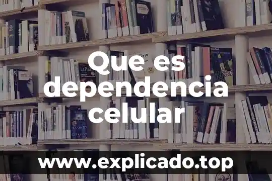 Que es una dependencia funcional 5 Que es dependencia celular