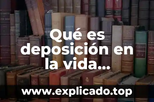 Qué es vida útil de un proyecto 5 Qué es deposición en la vida cotidiana