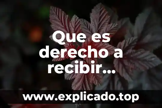 Que es educacion 2020 3 Que es derecho a recibir educacion