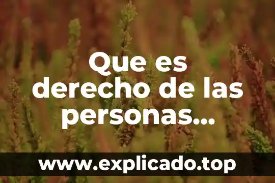 Que es el derecho de los migrantes 5 Que es derecho de las personas migrantes
