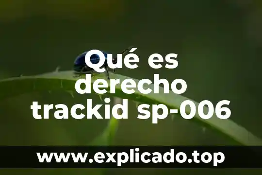Qué es derecho trackid sp-006