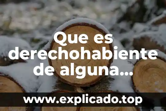 Autores que se refieren a lo que es una institucion 4 Que es derechohabiente de alguna institución de salud