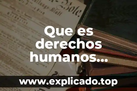 Que es el sistema universal de os derechos humanos 5 Que es derechos humanos laborales