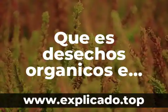 Que es silogismo hipotetico ejemplo 8 Que es desechos organicos e inorganicos