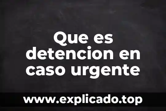 Que es el control de legaidad de la detención 5 Que es detencion en caso urgente
