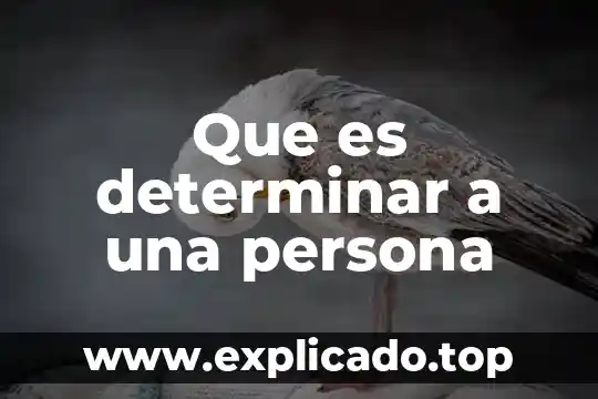 Que es una persona vigoroso 5 Que es determinar a una persona