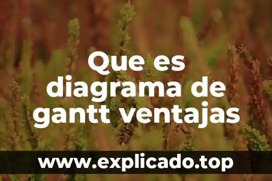 Para que es importante la grafica de gantt 3 Que es diagrama de gantt ventajas