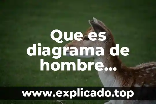Qué es una máquina simple con ejemplos y definición 5 Que es diagrama de hombre maquina
