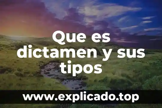 Que es dictamen y sus tipos