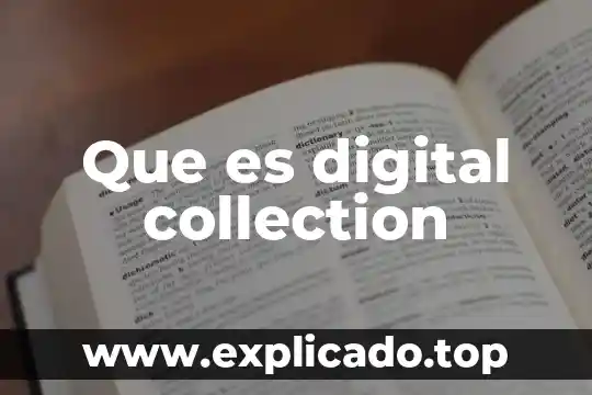 Que es una guajolota comida 8 Que es digital collection