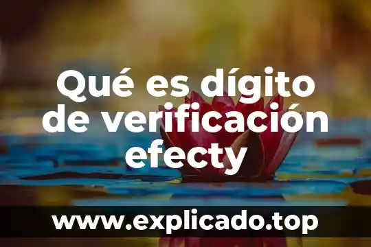 Qué es un dígito de control 5 Qué es dígito de verificación efecty