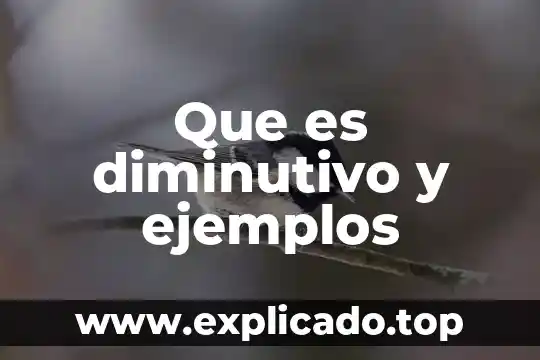 Que es macroscopicas ejemplos 8 Que es diminutivo y ejemplos