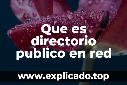 Que es codigo de operador de red 6 Que es directorio publico en red
