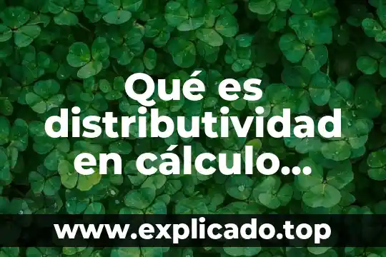 Que es un bosquejo calculo 3 Qué es distributividad en cálculo diferencial