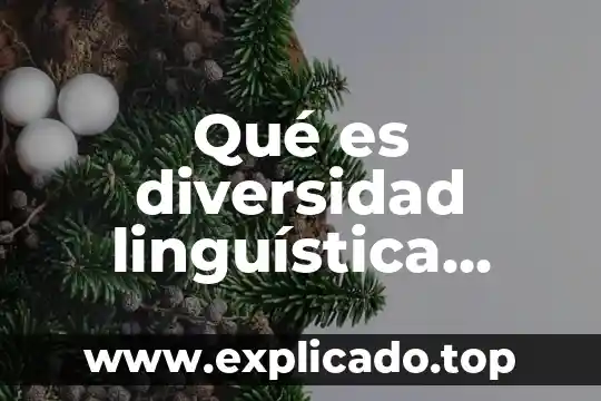 Qué es la diversidad linguística concepto 3 Qué es diversidad linguística cultural de México