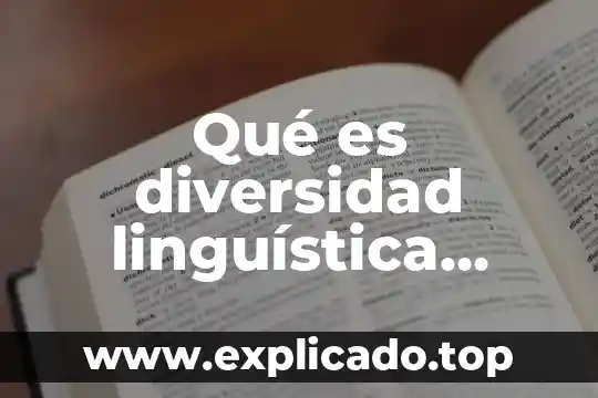 Qué es la diversidad linguística concepto 6 Qué es diversidad linguística general