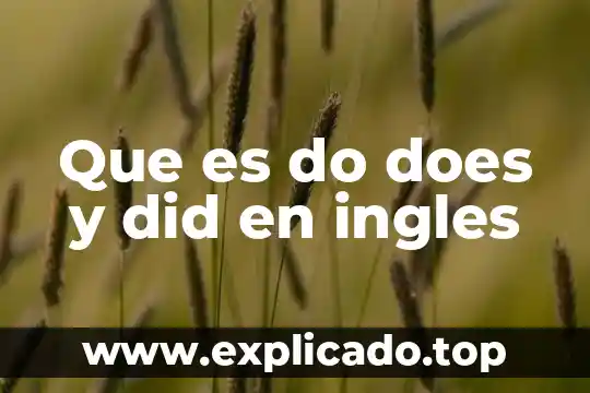 Que es cerebrovascular en ingles 7 Que es do does y did en ingles
