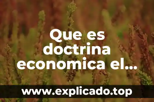 Por que es importamte un economista financiero 3 Que es doctrina economica el economista