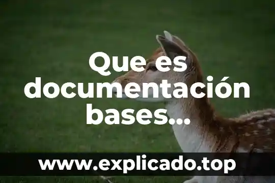 Que es la gestión de documentacion como se llevan acabo 4 Que es documentación bases cientificas