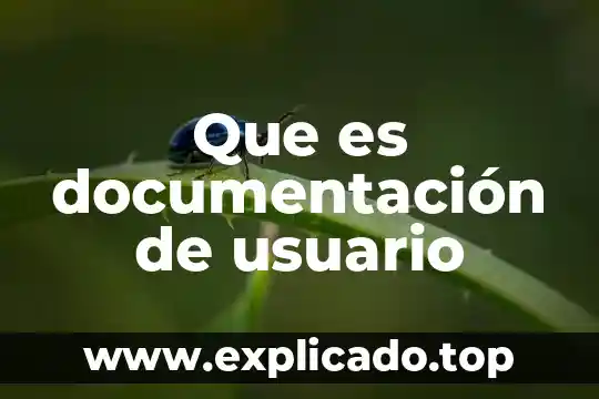 Que es la gestión de documentacion como se llevan acabo 6 Que es documentación de usuario