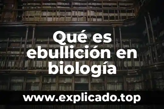 Que es punto de ebullicion del alcohol 8 Qué es ebullición en biología