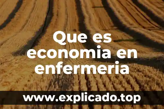 Enfermería psiquiátrica que es según Emil Kraepelin 3 Que es economia en enfermeria
