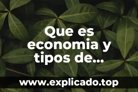 Que es economia y tipos de economia
