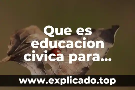 Qué es concepto de cívica y ética 3 Que es educacion civica para primaria