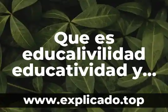 Que es el establecimiento permanente en mexico 5 Que es educalivilidad educatividad y educacion permanente