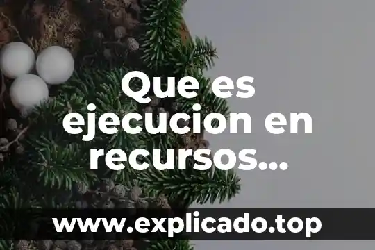 Que es ejecucion en recursos humanos