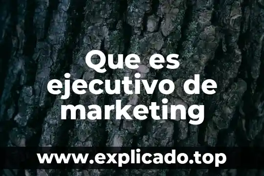 Que es un resumen ejecutivo financiero 4 Que es ejecutivo de marketing
