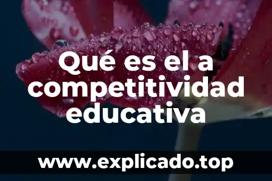 Qué es una estrategia metodológica educativa 5 Qué es el a competitividad educativa