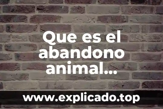 Que es el abandono animal definicion
