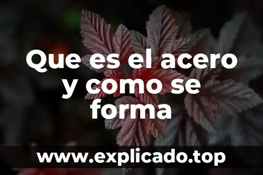 Que es la forma del razonamiento 7 Que es el acero y como se forma