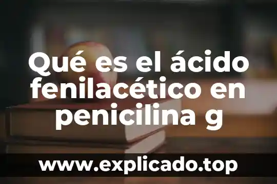 Qué es el ácido nucleico artículo 8 Qué es el ácido fenilacético en penicilina g