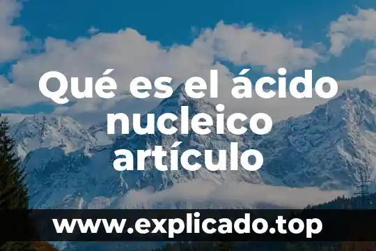 Qué es ácido tartárico más alcohol 3 Qué es el ácido nucleico artículo