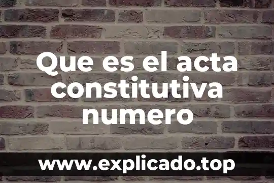Qué es una acta constitutiva de protección civil 5 Que es el acta constitutiva numero